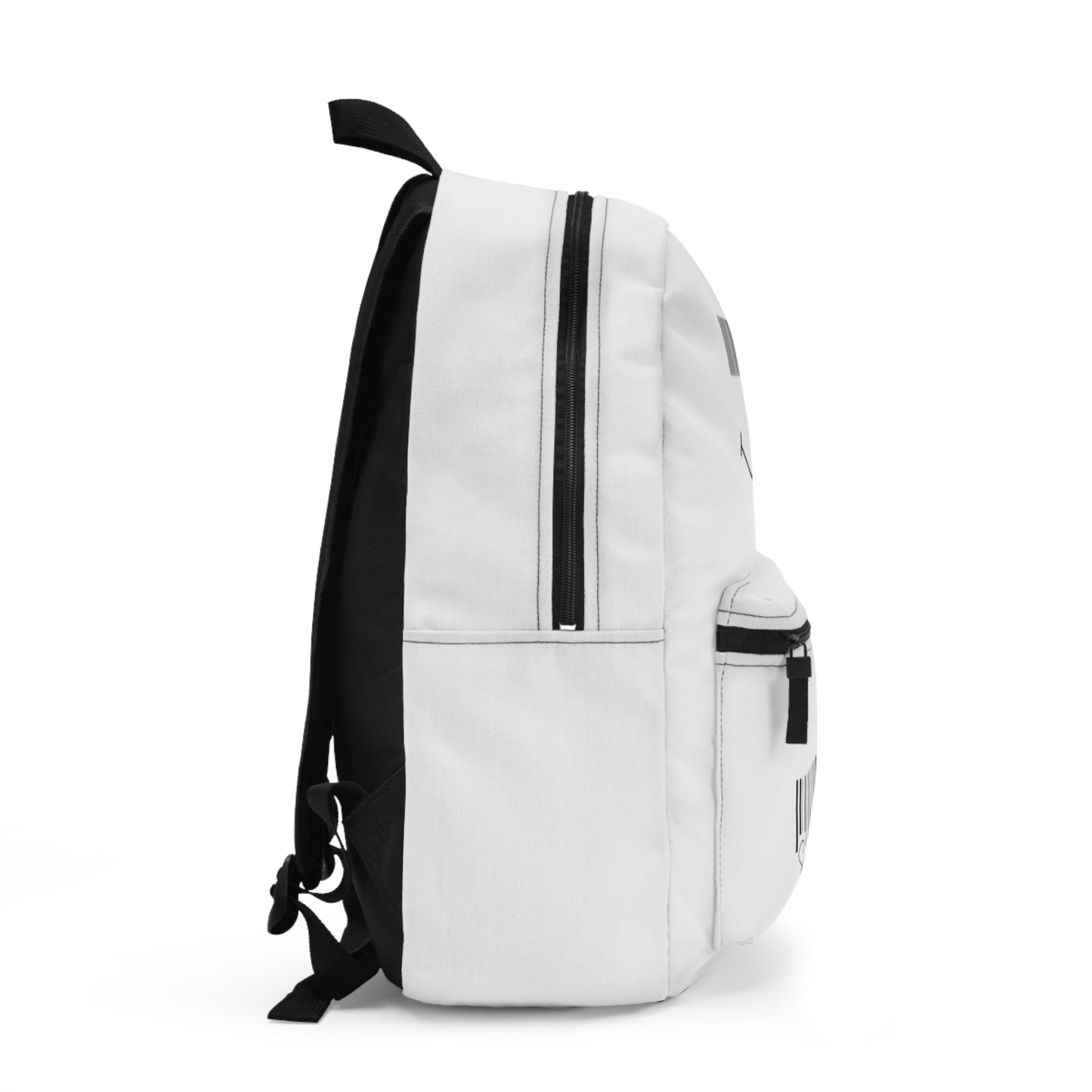 SF Travel backpack